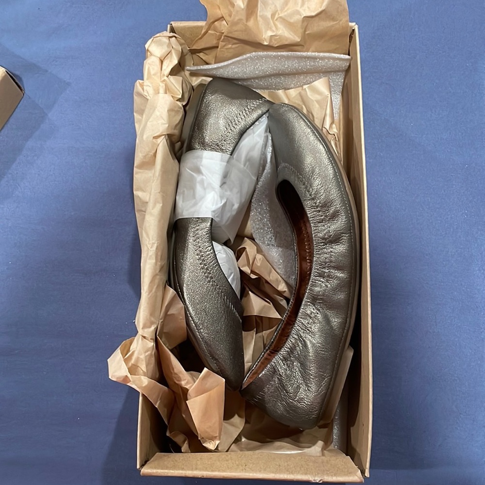 Lucky Brand “Emmie” Pewter Ballet Flat